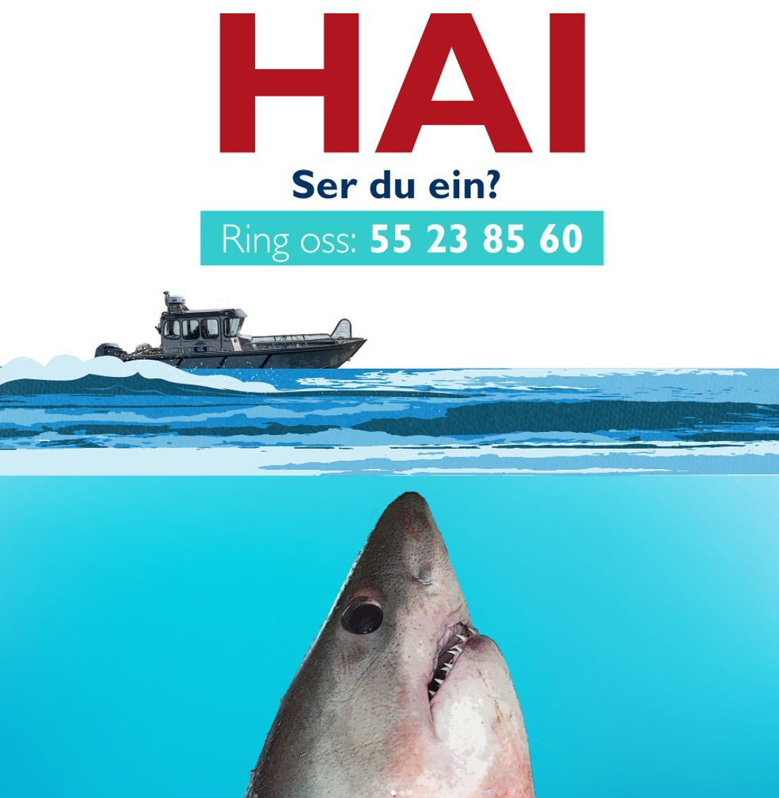 Bilde av hai med telefonnummer