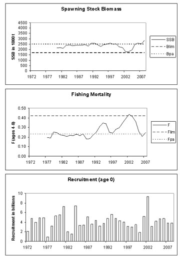makrell372.jpg makrell372.jpg