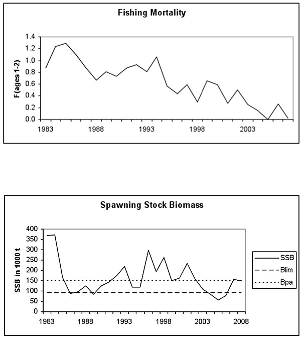 oyepal_600.jpg oyepal_600.jpg