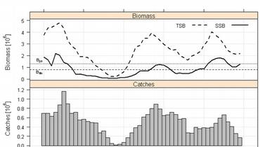 Kvoteråd nordsjøsild 2011a