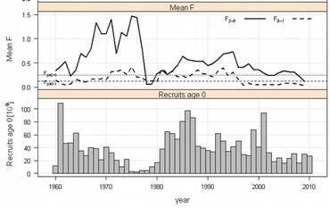 Kvoteråd nordsjøsild 2011b