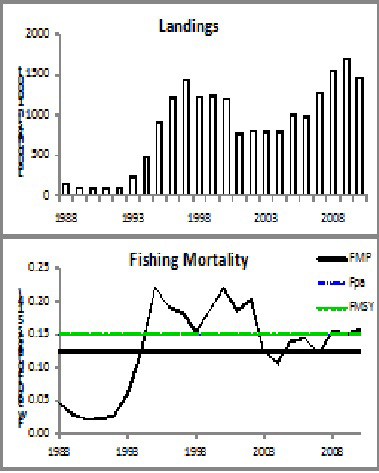 NVGAfin1.jpg NVGAfin1.jpg
