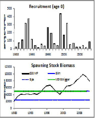 NVGAfin2.jpg NVGAfin2.jpg