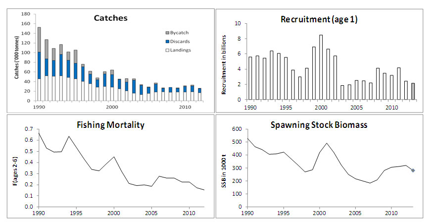 Hvitting i Nordsjøen