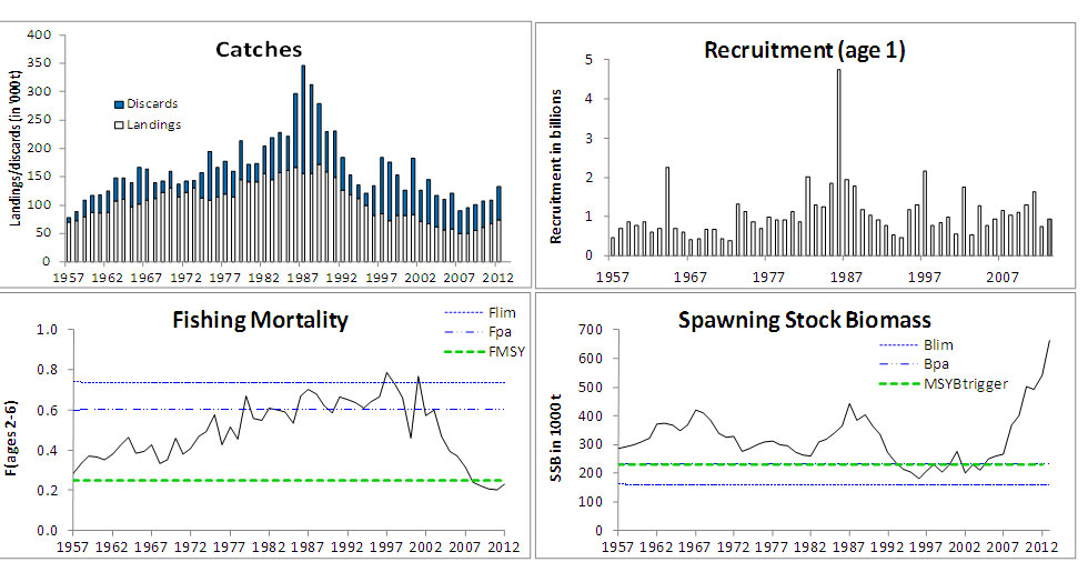 Rødspette i Nordsjøen og Skagerrak