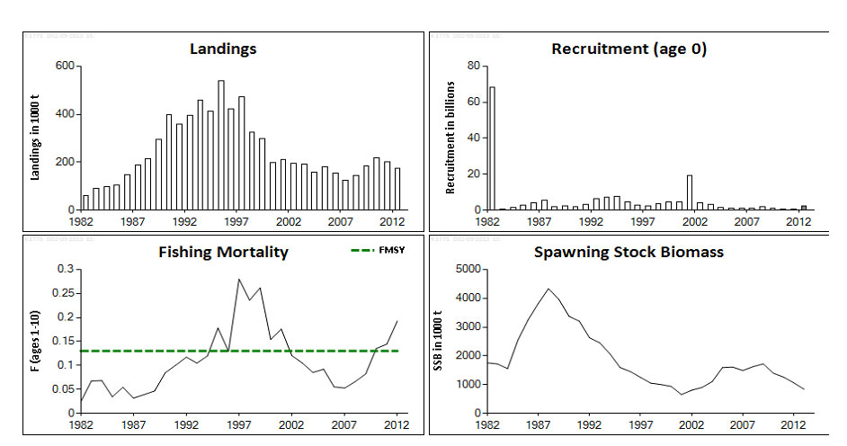 Vestlig taggmakrell figur