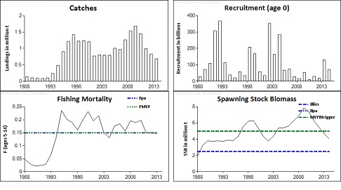Figurer for nordsjøtaggmakrell