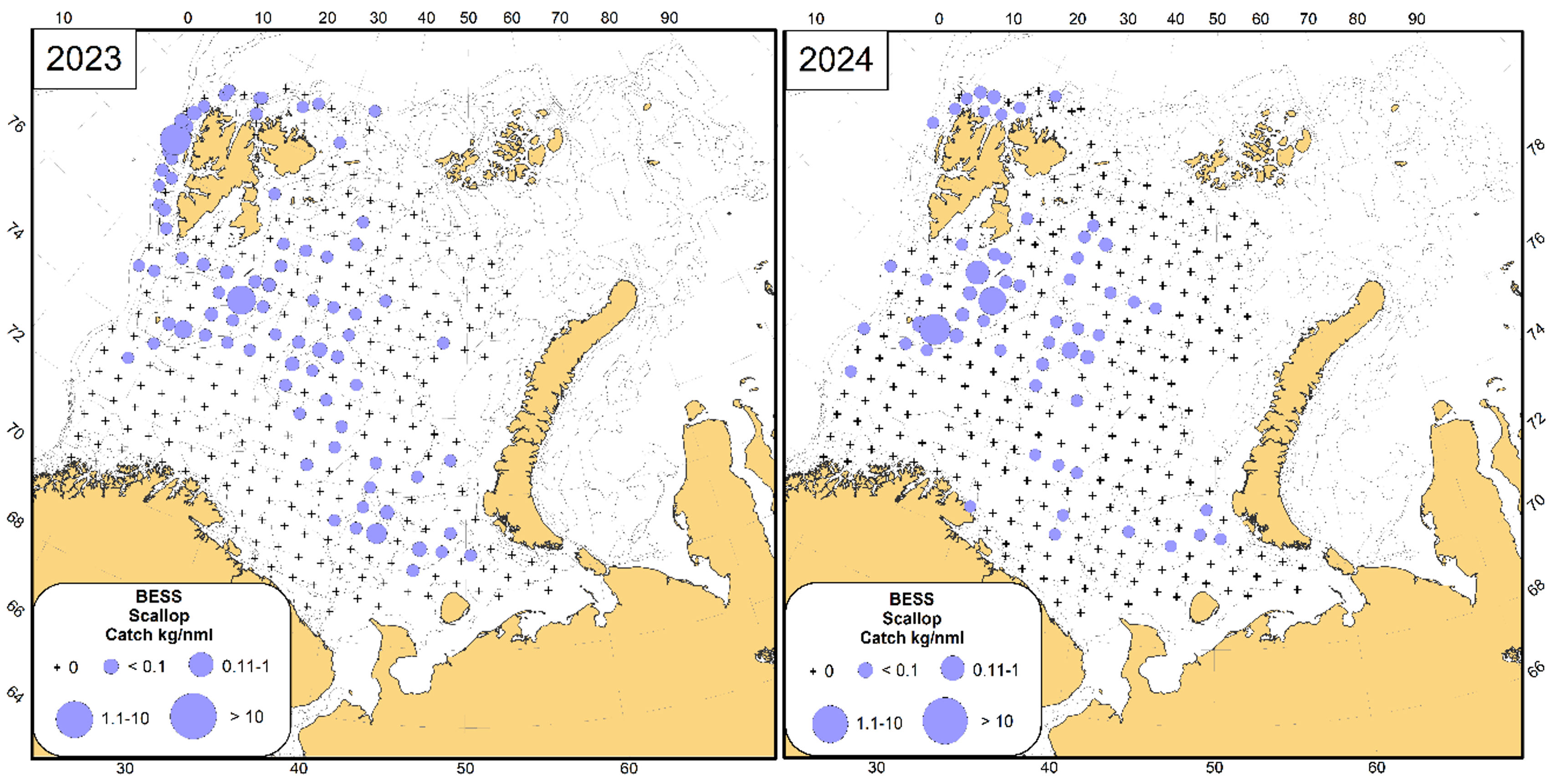 Figure 10.4.1 Distribution of Iceland scallop (Chlamys islandica) in the Barents Sea, August-November 2023-2024