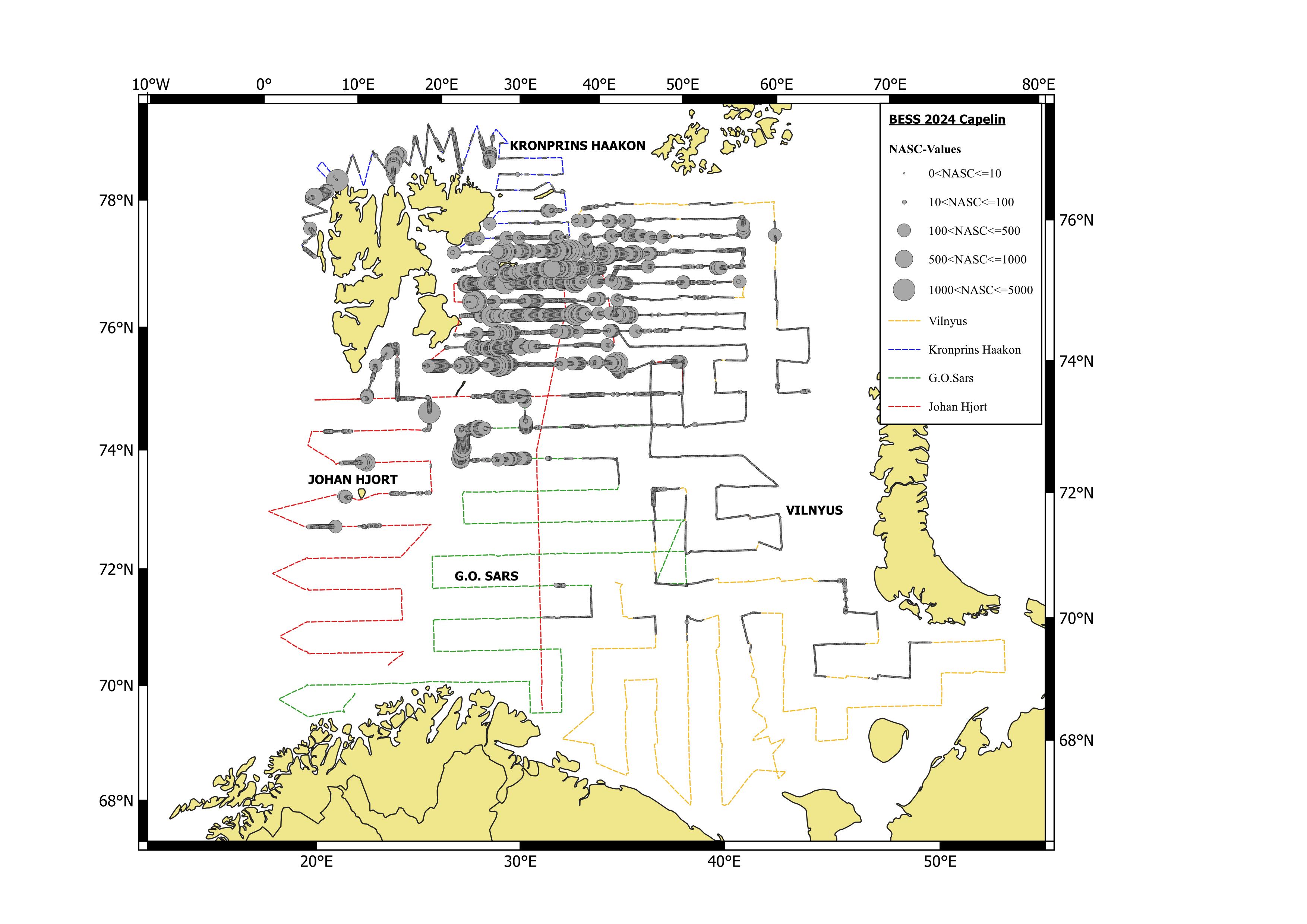 Figure. 7.1.1.1 Geographical distribution of capelin in autumn 2024 based on acoustic recordings. Circle sizes correspond to NASC values (m2/nmi2) per nautical mile.