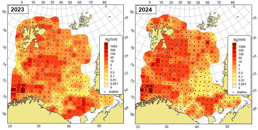 Figure 11.3.2 The biomass distribution of megabenthos (excluding Pandalus borealis) in the Barents Sea in August- October 2023 and 2024