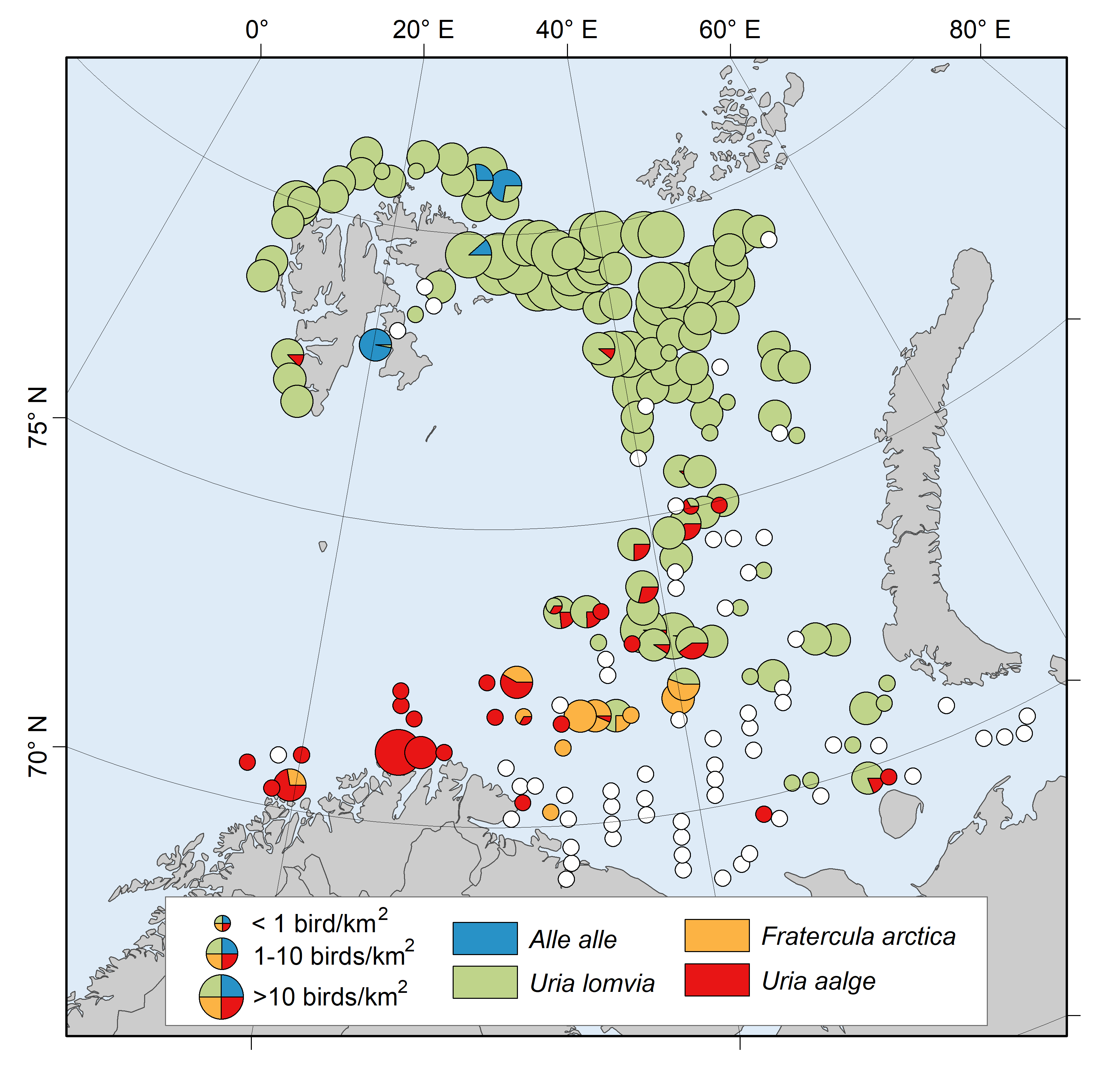 Figure 12.2.1 Density of auk species along seabird transects in 2024. White-filled circles are zero density