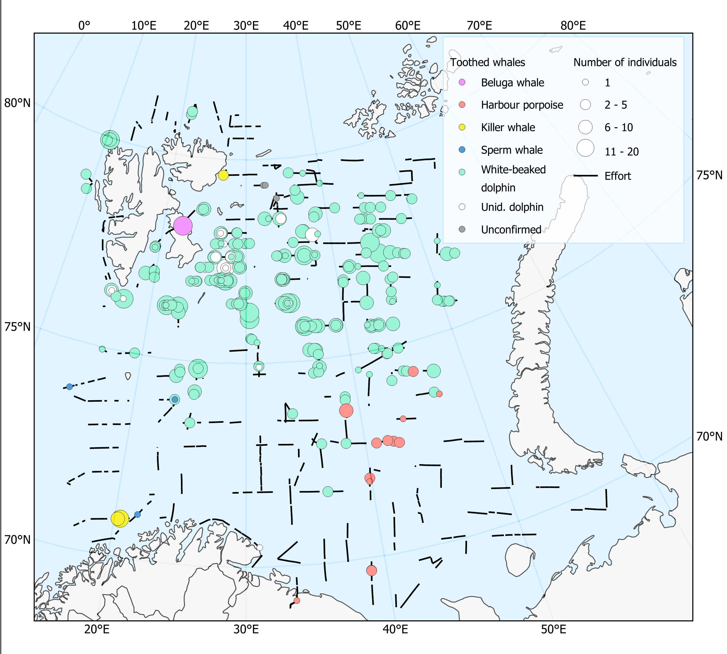 Figure 12.1.1. Distribution of toothed whales in BESS 2024.