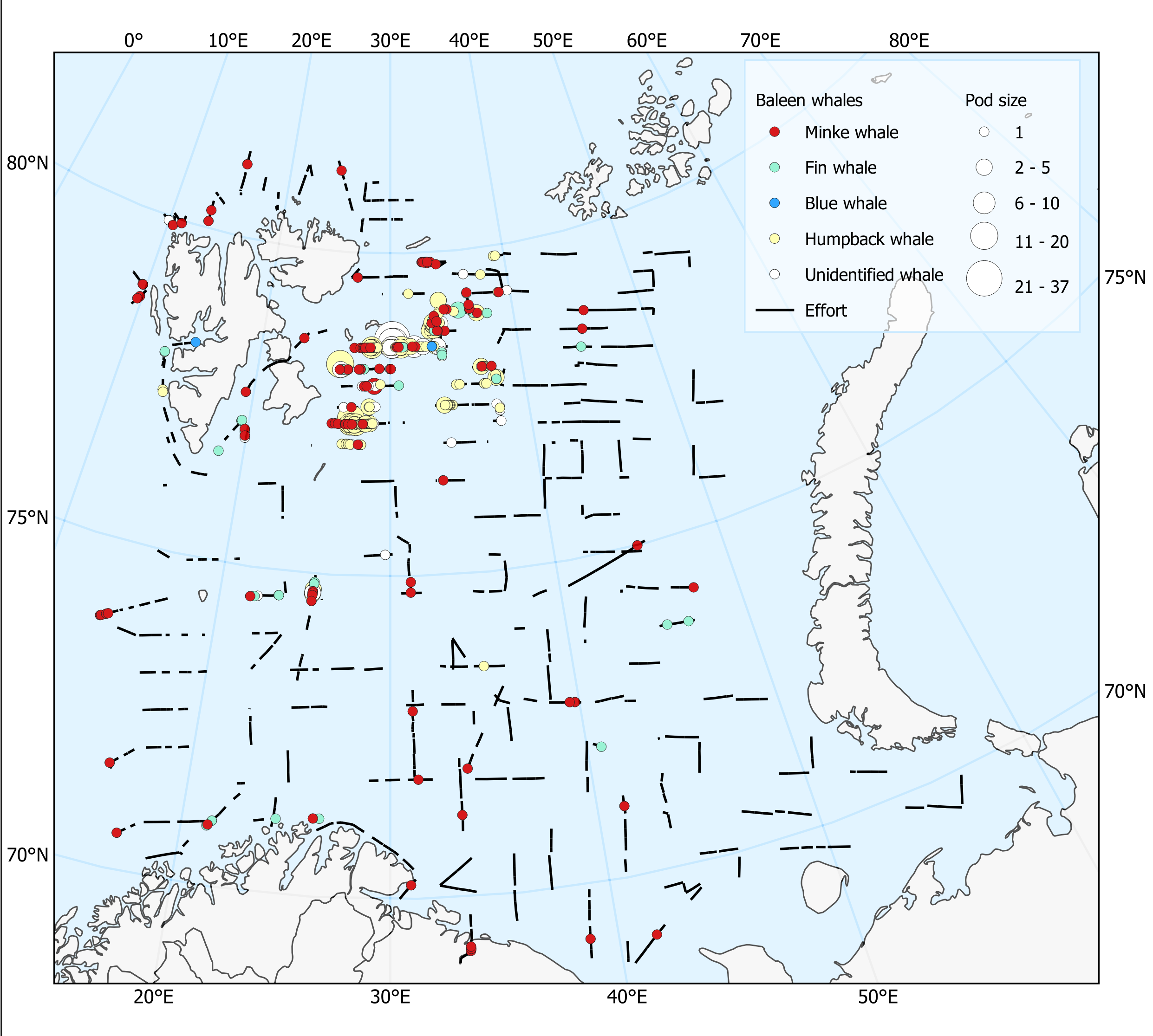 Figure 12.1.2. Distribution of baleen whales in BESS 2024.