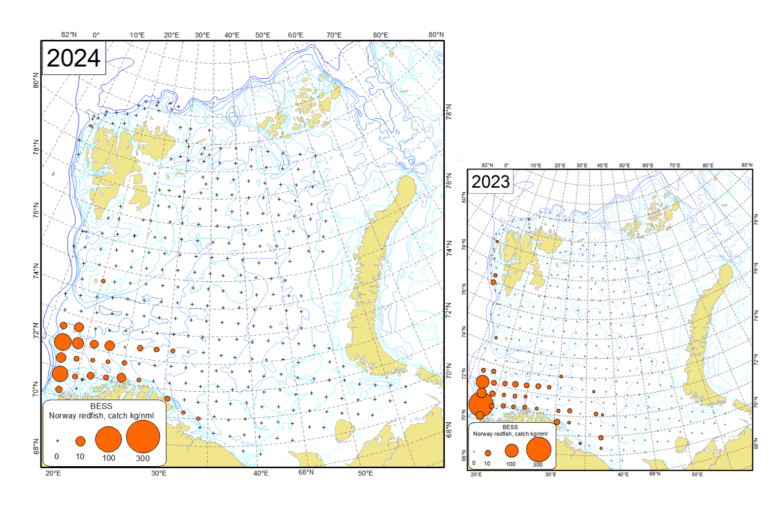 Figure 9.2.2 Distribution of Norway redfish (Sebastes viviparus), August-October 2024 and August-September 2023