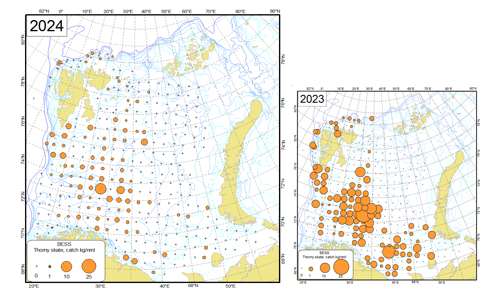 Figure 9.2.3 Distribution of thorny skate (Amblyraja radiata), August-October 2024 and August-September 2023