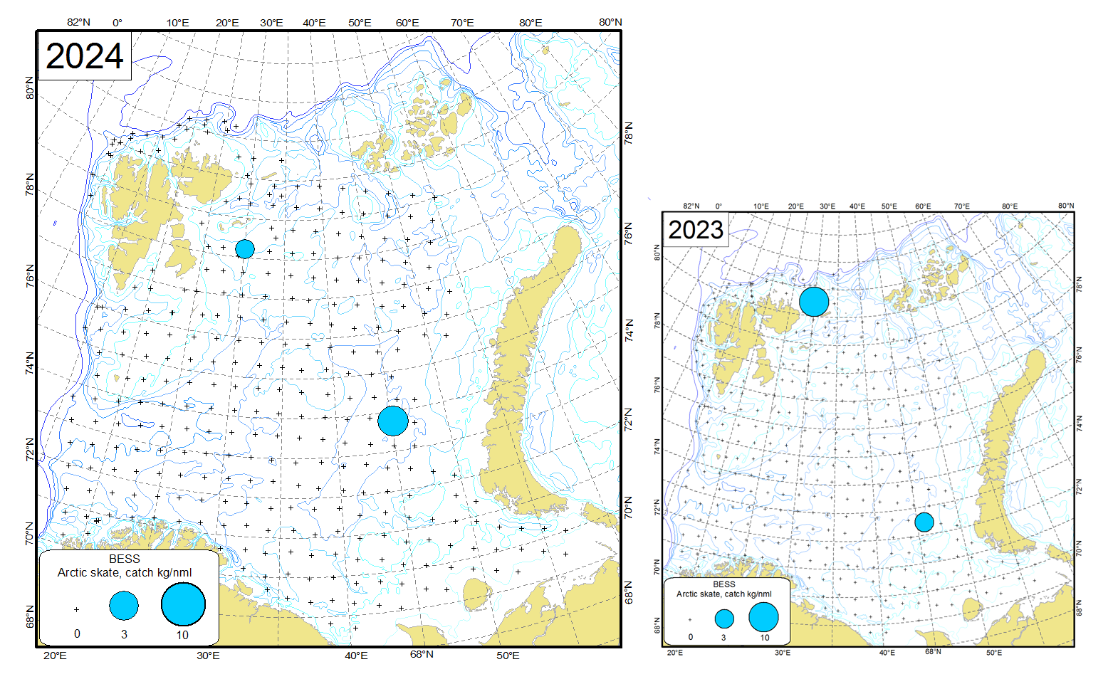 Figure 9.2.4 Distribution of Arctic skate (Amblyraja hyperborea), August-October 2024 and August-September 2023