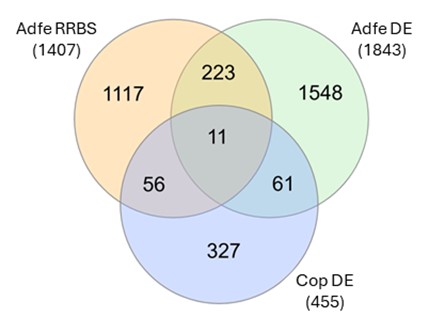 Venn diagram, 2 overlappende sirkler