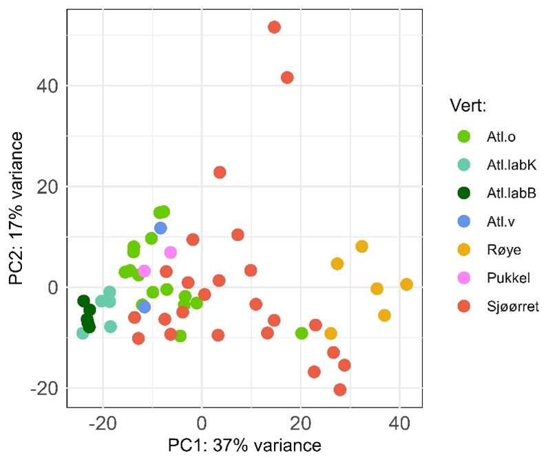 PCA analyse som illustrerer lakselus fra ulike kilder