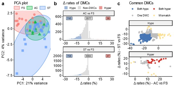 PCA analyse og grafer som illustrerer metyleringsrater