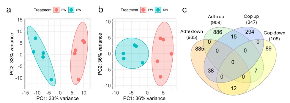 PCA analyse og Venn diagram