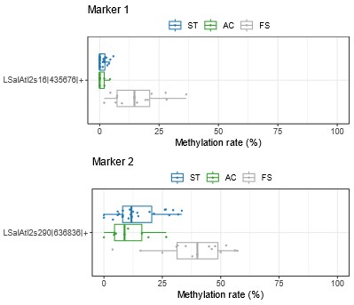 To grafer som illustrerer metyleringsrater på utvalgte markørgener
