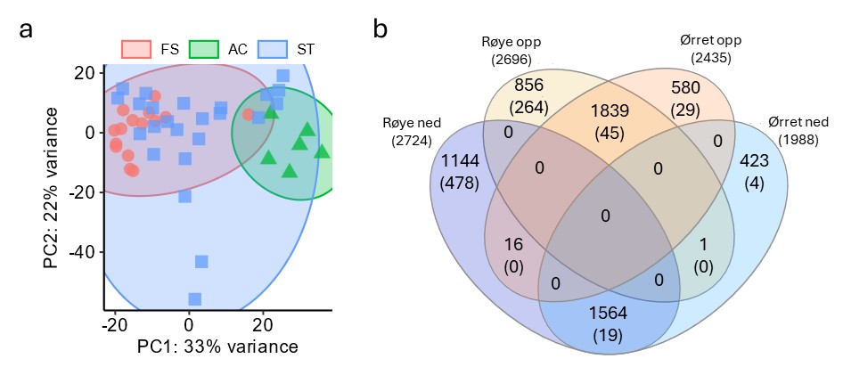 PCA analyse og Venn diagram som illustrerer likheter i genuttrykk mellom livsstadier og vertsarter