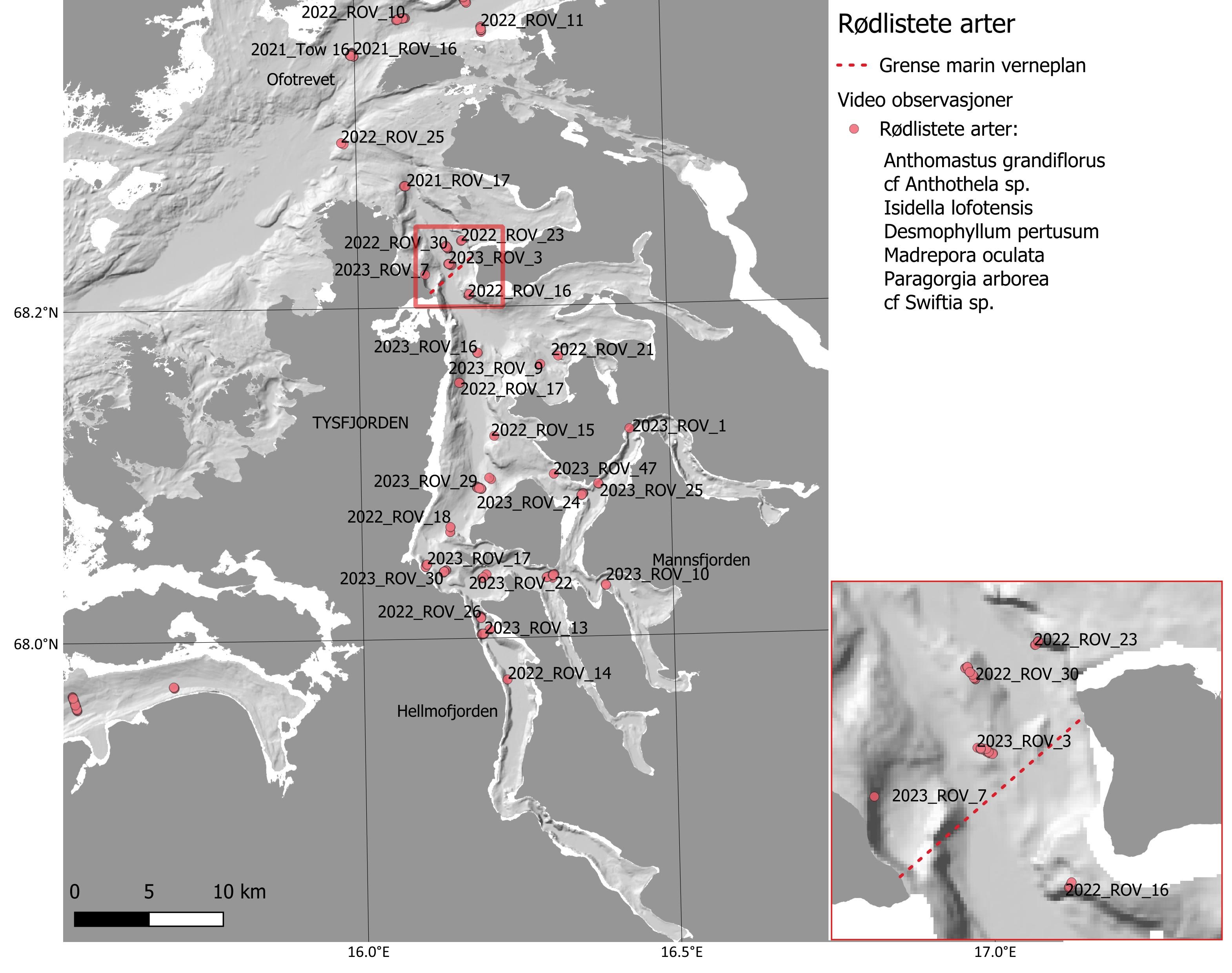 Figuren viser kart over Tysfjorden. Rød stiplet linje viser grense marin verneplan. Video observasjoner: Røde prikker viser følgende rødlistede arter, se også tabell 4: A. grandiflorus, cf Anthothela sp., I. lofotensis, D. pertusum, M. oculata, P. arborea og cf Swiftia sp. Et mindre kartutsnitt nede i høyre hjørne viser et mer zoomet bilde omkring den stiplete linjen, med tette samlinger av røde prikker. Koordinater i nedre og venstre kant, skala 0 til 10 km.