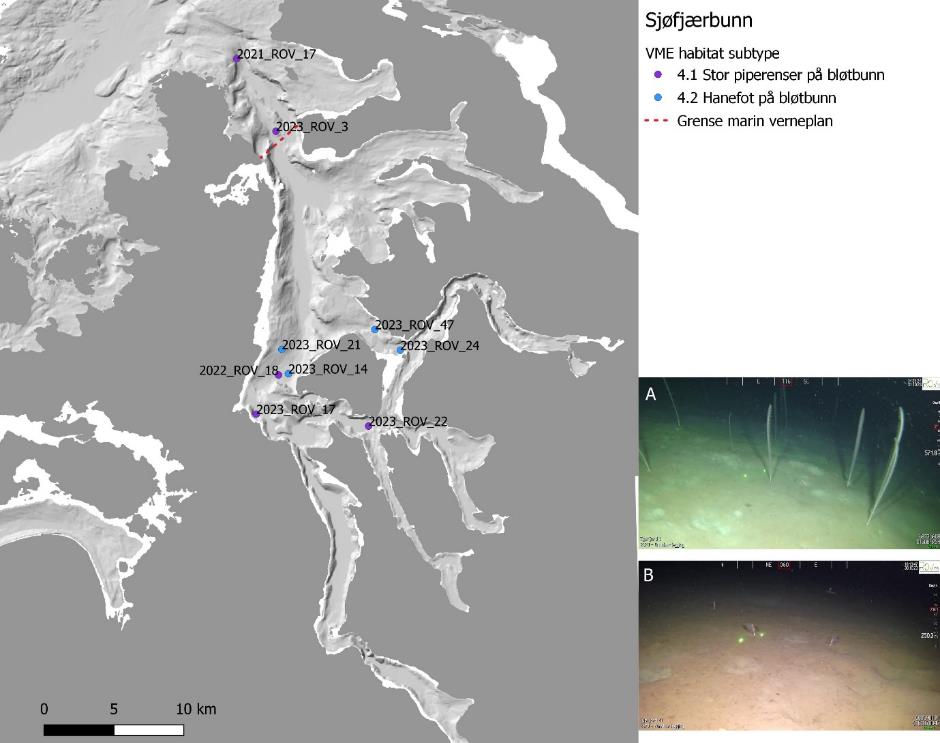 Hovedbildet viser kartutsnitt av Tysfjorden, prikker er forekomster av «Sjøfjærbunn». Symbolene tilsvarer VME habitat subtype (se tabell 8). Lilla prikk = 4.1 og blå prikk = 4.2. Rød stiplet linje er grense marin verneplan. Det er også to mindre bilder ved siden av kartutsnittet: A øverst og B nederst, informasjon i figurtekst. Skala er 0 til 10 km (nederst til venstre).