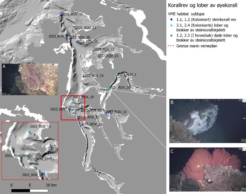 Hovedbildet viser kartutsnitt av Tysfjorden, prikker er forekomster av «Korallrev og lober av øyekorall». Fargene på prikkene henviser til VME habitat subtype (Tabell 2). Skala er 0 til 10 km (nederst til venstre). Et mindre utsnitt i nederste venstre hjørne (tilsvarer rød rute) viser enkelte transekter zoomet inn. Det er tre ulike farger på prikkene, disse er listet i infoboks til høyre med koder fra Tabell 2: Mørk blå (1.1, 1.2), lys blå (2.1, 2.4) og gråblå (1.2, 2.3). Det er også ett bilde innfelt i kartutsnittet (A) og to mindre bilder ved siden av kartutsnittet (B øverst og C nederst), disse er forklart i figurteksten.