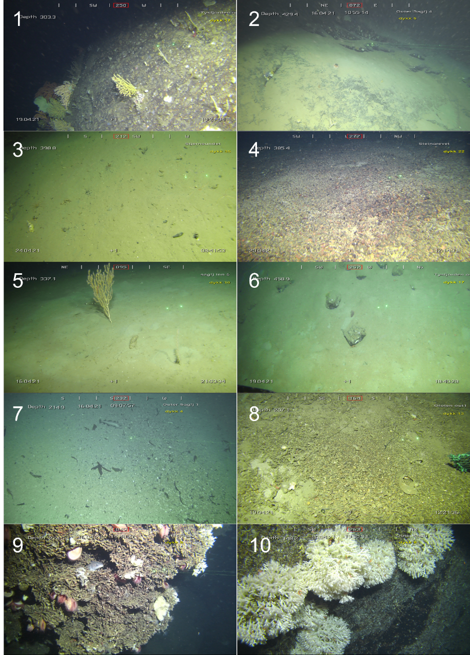 10 bilder som henviser til Tabell 1, to og to bilder nummerert fra 1 til 10.