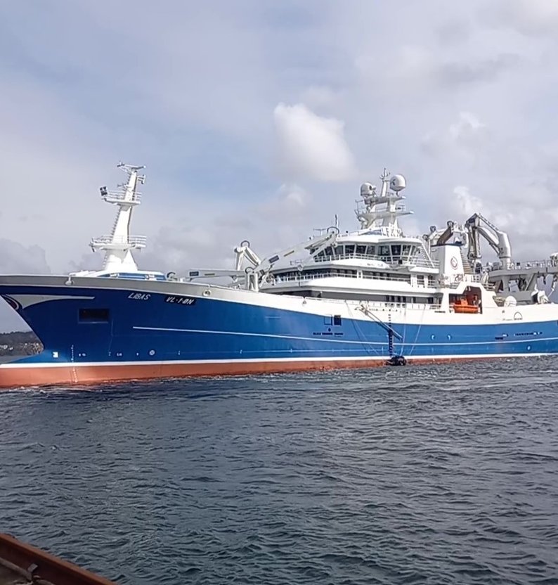 
20230915 114252   frame at 0m8s square