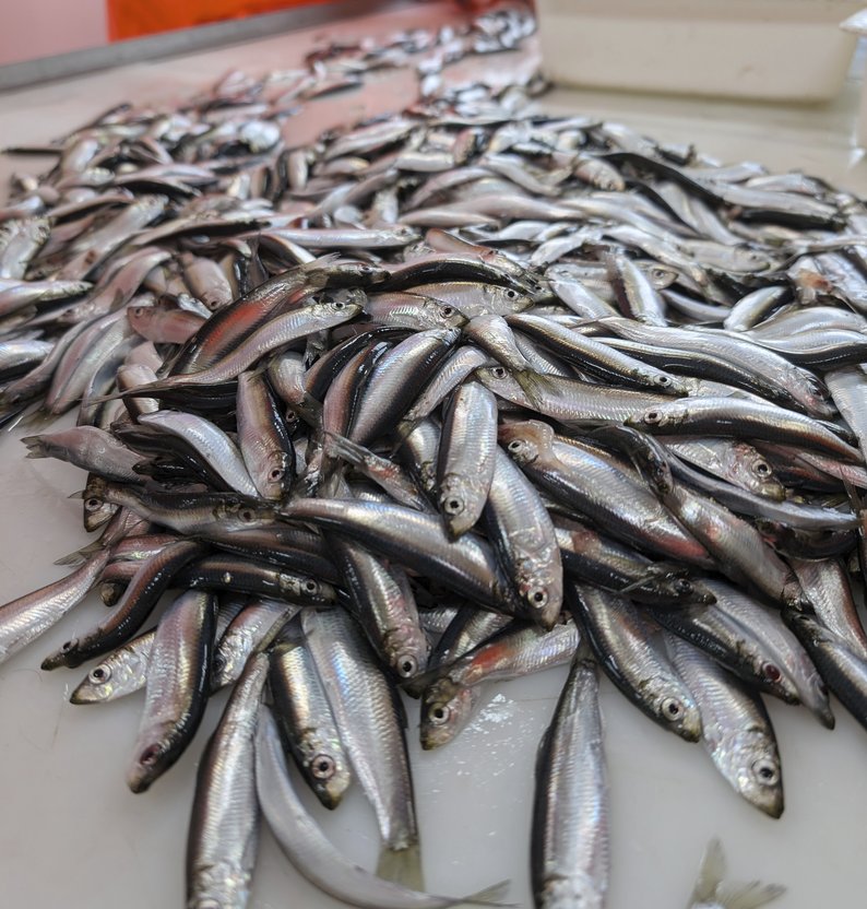 
PXL 20241216 130018041