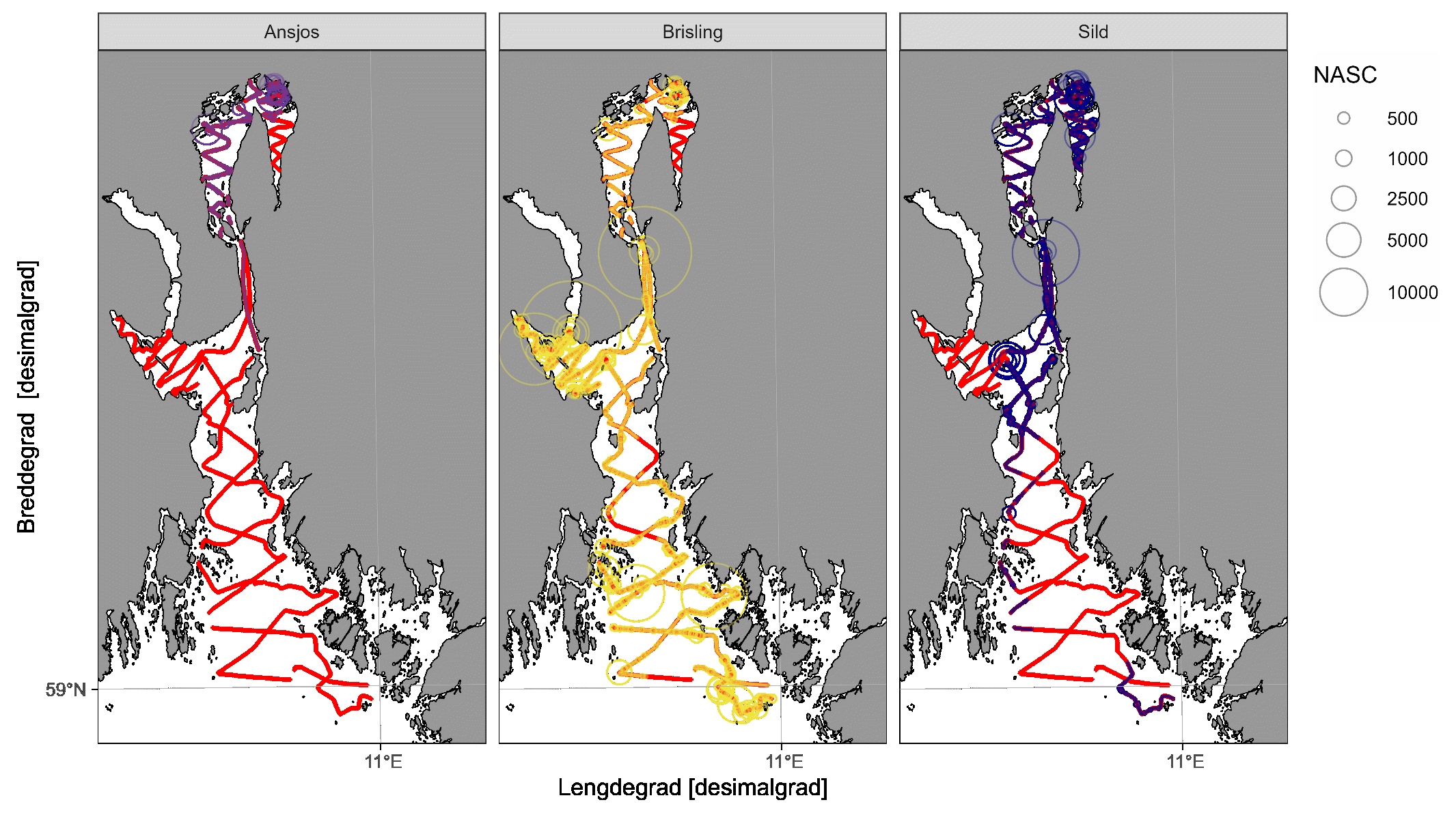 Akustisk tetthet (NASC [m2/n.mi.2] per 0.1 nautisk mil) av ansjos, brisling, sild registrert på tokt i Oslofjorden 2024 etter bruk av SplitNASC-metoden.