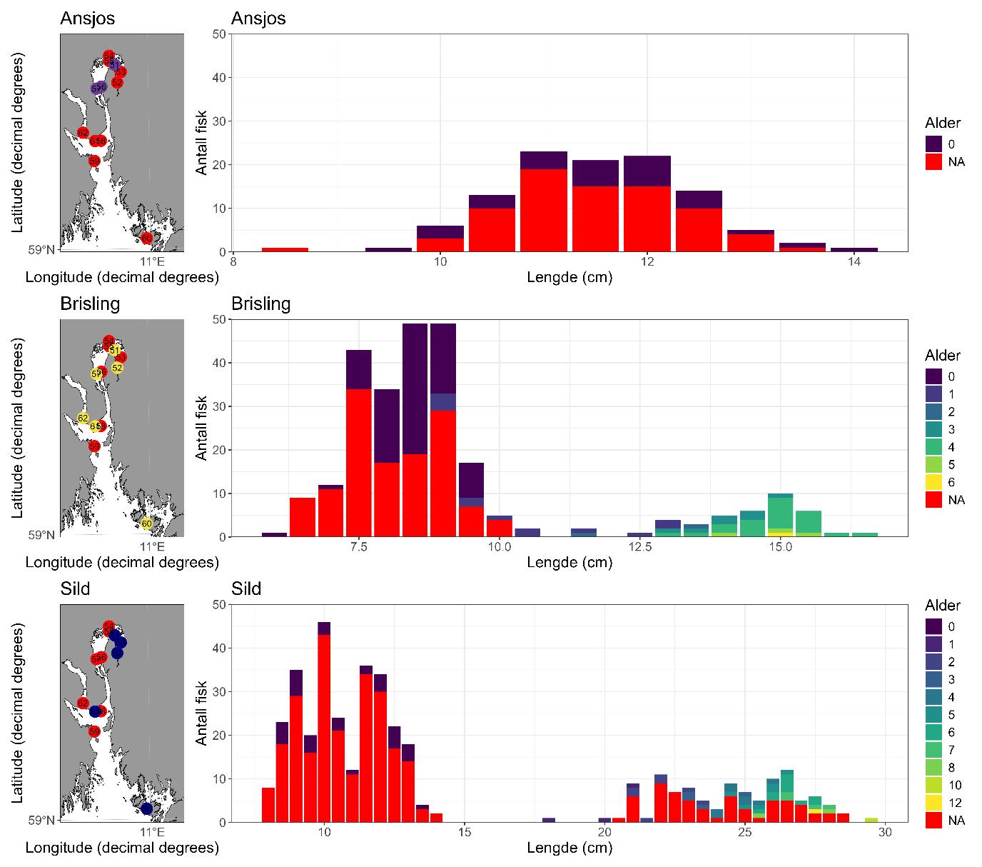 Trålstasjoner med fangst av ansjos, brisling eller sild. Lengde- og aldersfordeling er gitt for hver art. 