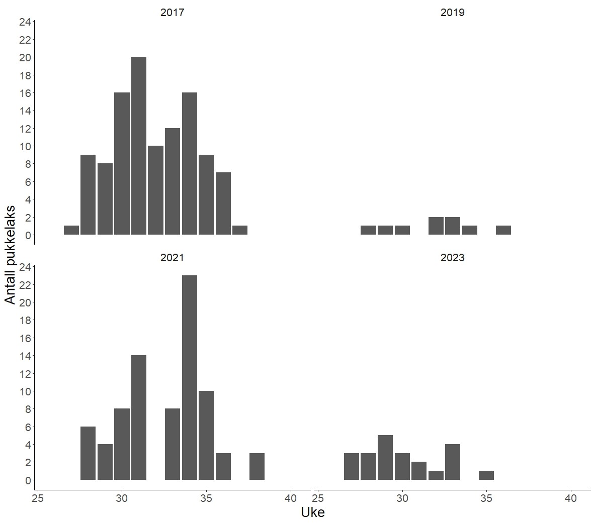 Ukentlig antall pukkellaks registrert i Etnefellen i årene 2017, 2019, 2021 og 2023. 