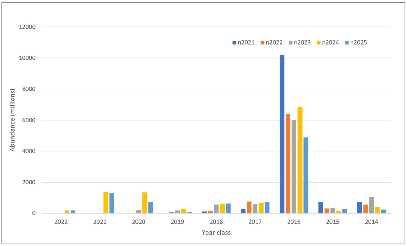 Estimert antall per årsklasse fra de 5 siste nvg-gytetoktene
