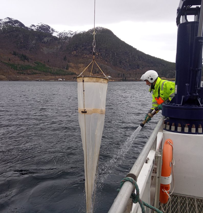 
IMG 20240319 090319 7