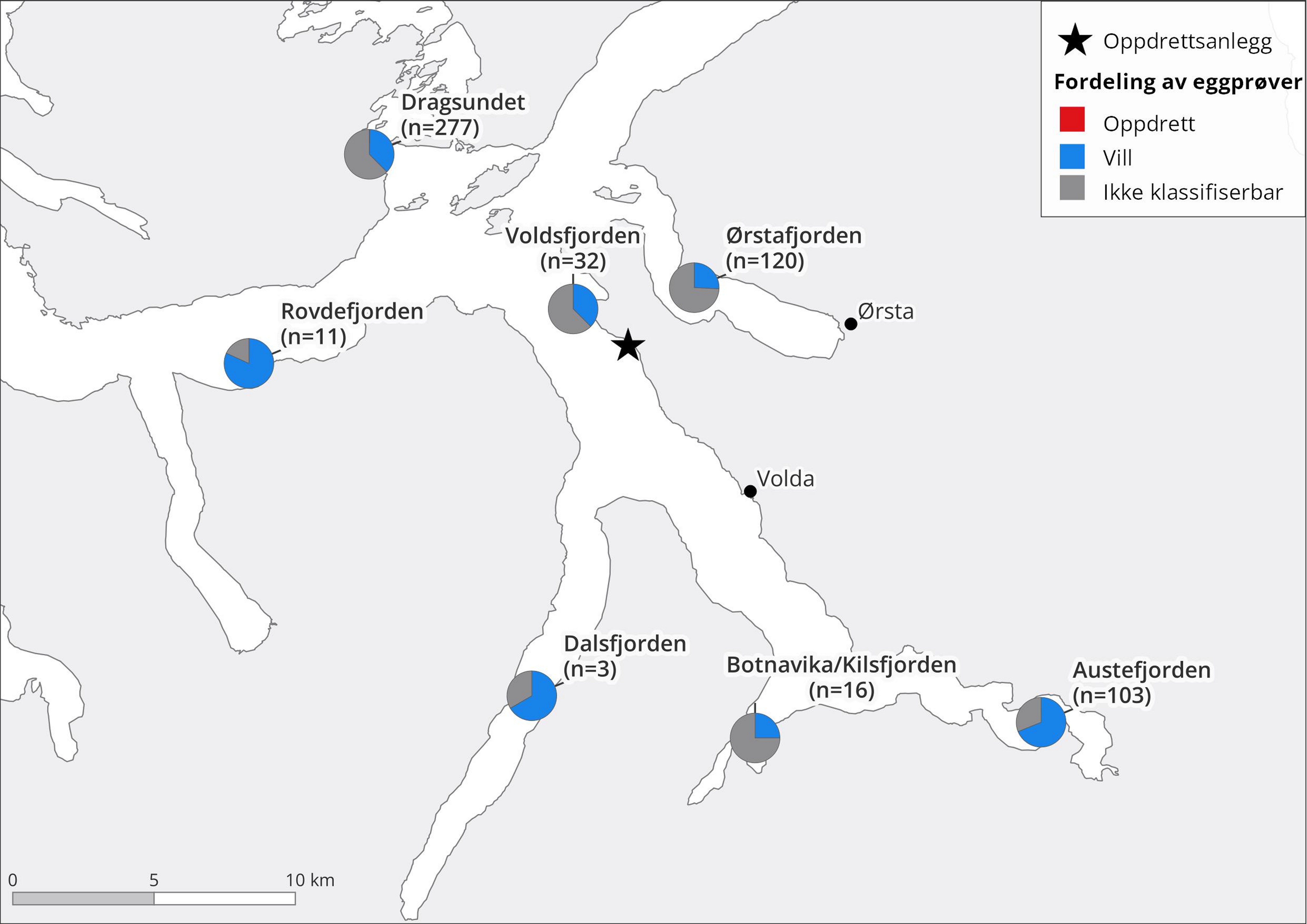 Fordeling av alle innsamlede egg og genetisk klassifisering vist samlet for hvert fjordavsnitt