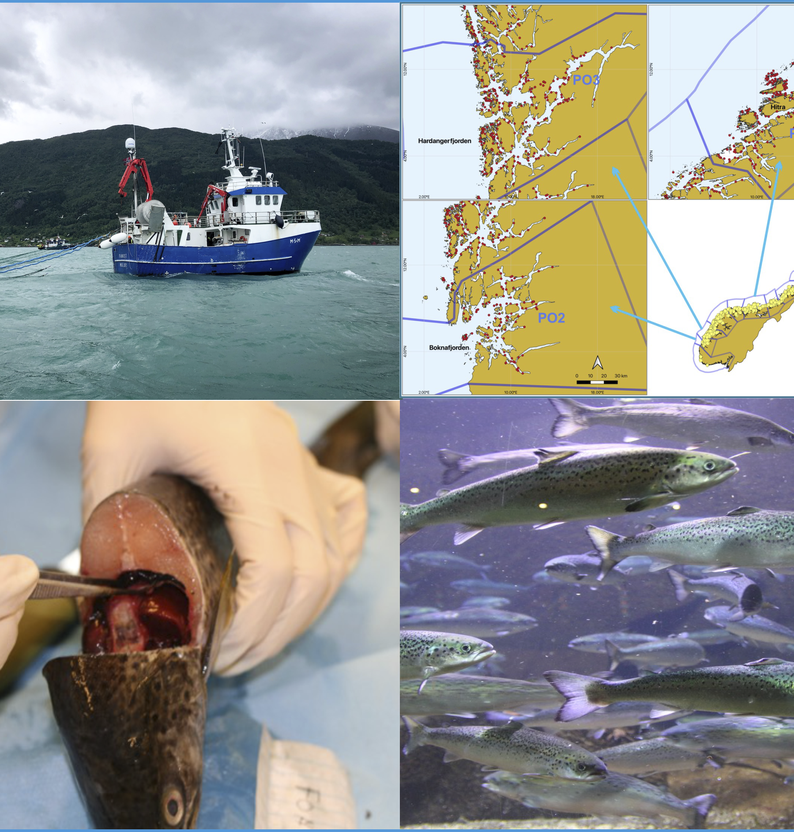 
Front MT report 2024