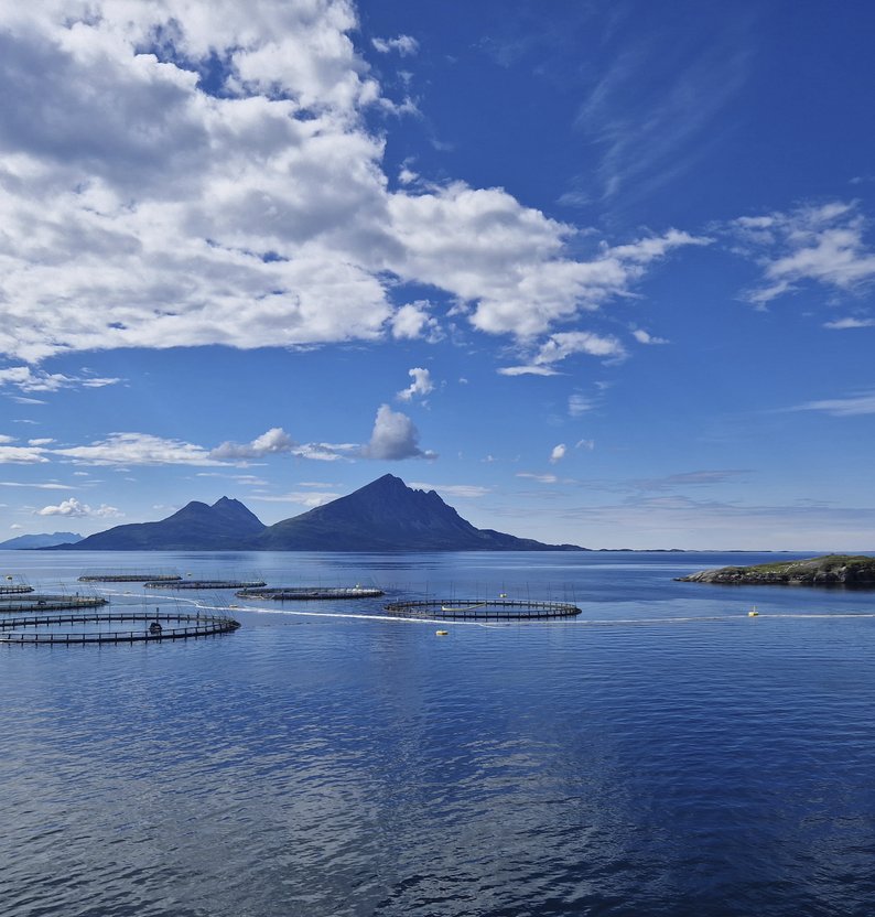 
Fram Forum CoastShift image 3