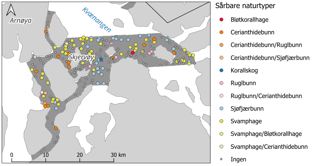 Kartutsnitt med skala 0 til 30 km. Symbolforklaring til høyre i bildet. Fargede punkter («Sårbare naturtyper») har følgende beskrivelse, fra øverst: Rødt = bløtkorallhage, mørk oransje = cerianthidebunn, oransje = cerianthidebunn/ruglbunn, lys oransje = cerianthidebunn/sjøfjærbunn, mørk blå = korallskog, rosa = ruglbunn, lys rosa = ruglbunn/cerianthidebunn, lys blå = sjøfjærbunn, kraftig gul = svamphage, gul = svamphage/bløtkorallhage, lys gul = svamphage/ cerianthidebunn og lite grått punkt = ingen.