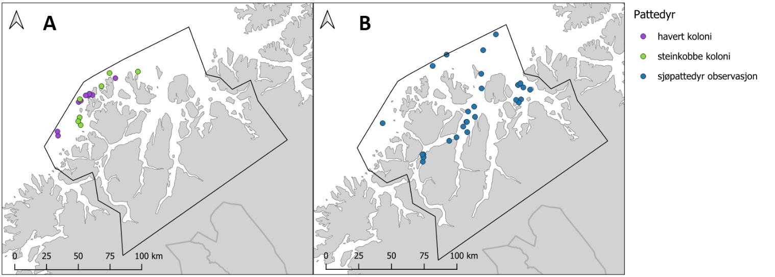 To kartutsnitt, A til venstre og B til høyre, begge med skala 0 til 100 km. PO11 innrammet i svart. Symbolforklaring til høyre i bildet. Fargede prikker viser «Pattedyr». A: lilla = havert-koloni og grønn = steinkobbe-koloni. B: blå = sjøpattedyr-observasjoner.