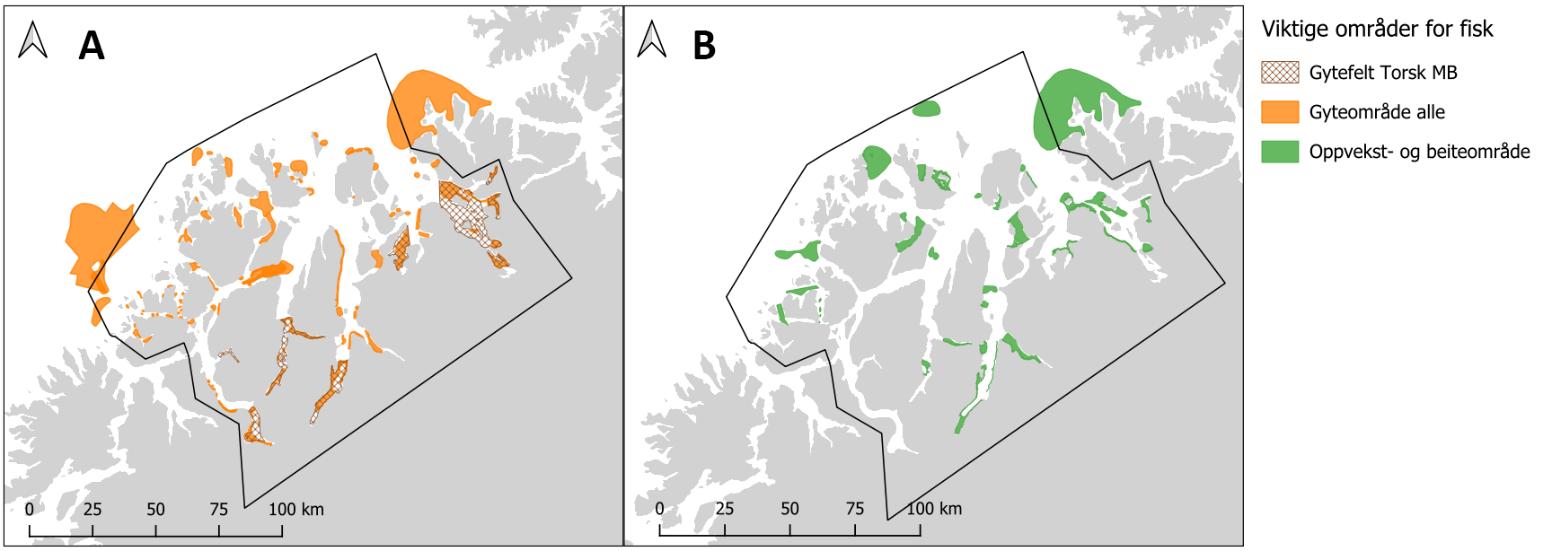 To kartutsnitt, A til venstre og B til høyre, begge med skala 0 til 100 km. PO11 innrammet i svart. Symbolforklaring til høyre i bildet. Fargede felter viser «Viktige områder for fisk»: A: Skravert oransje = Gytefelt torsk MB og oransje = gytefelt alle. B: Grønt = oppvekst- og beiteområder. 