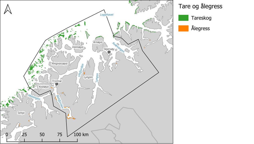 Kartutsnitt med PO11 innrammet i svart. Symbolforklaring til høyre i bildet. Fargede felter viser «Tare og ålegress»: Grønt = tareskog og oransje = ålegress.