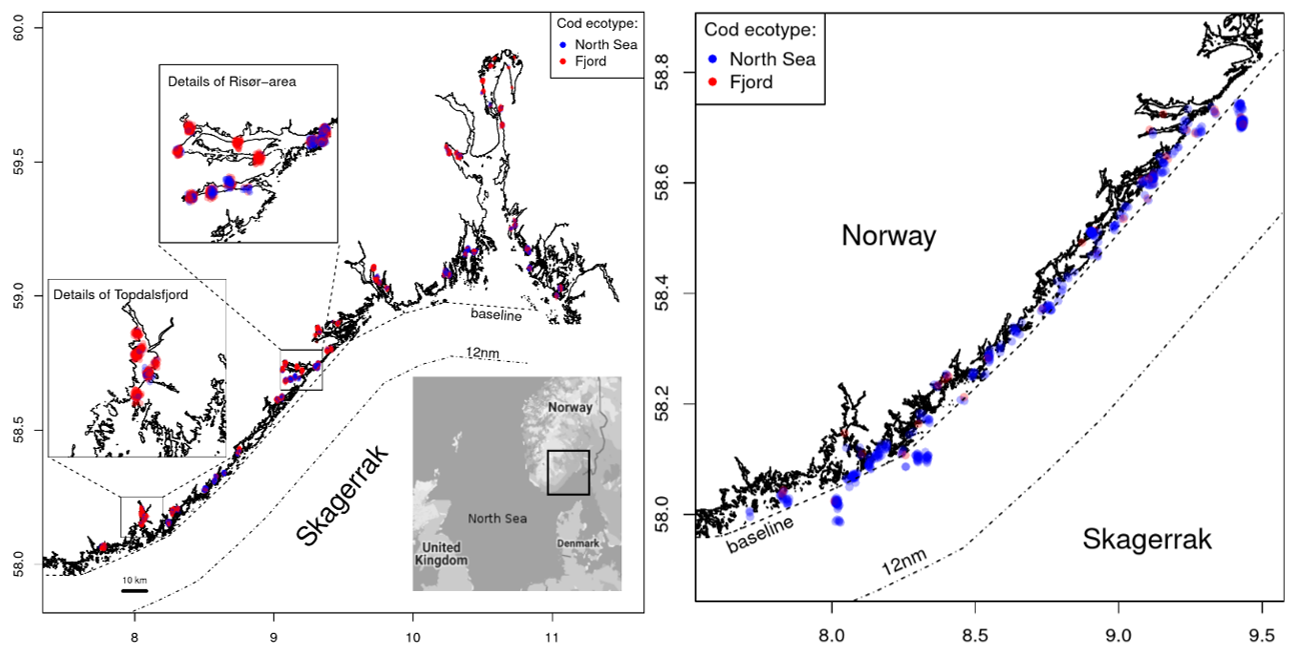 Maps showing locations of fjord and North Sea cod ecotypes
