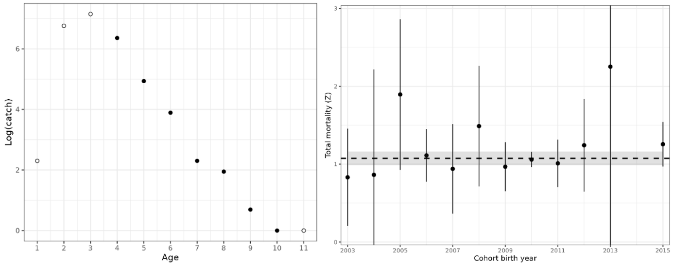 Catch curve from Skagerrak reference fleet gillnet