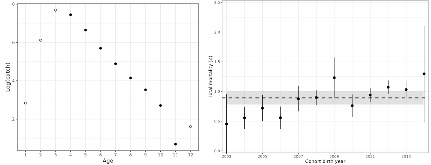 Graph of catch curvey for Vestlandet reference fleet gillnet
