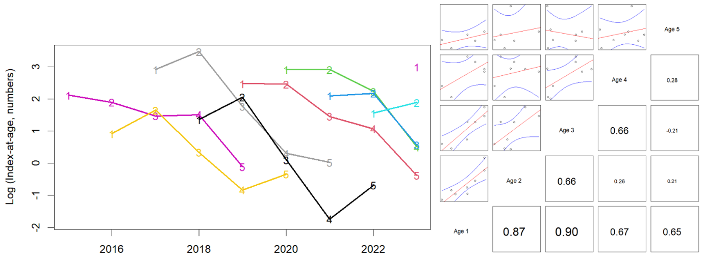 Graph of index at age consistency in the Vestlandet survey