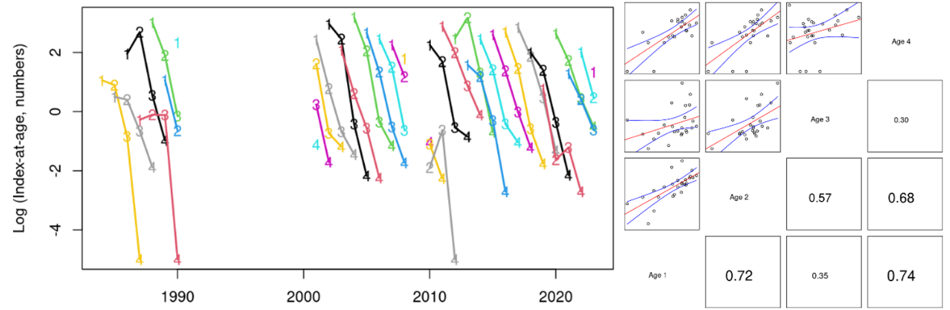 Graph of Skagerrak West index at age consistency