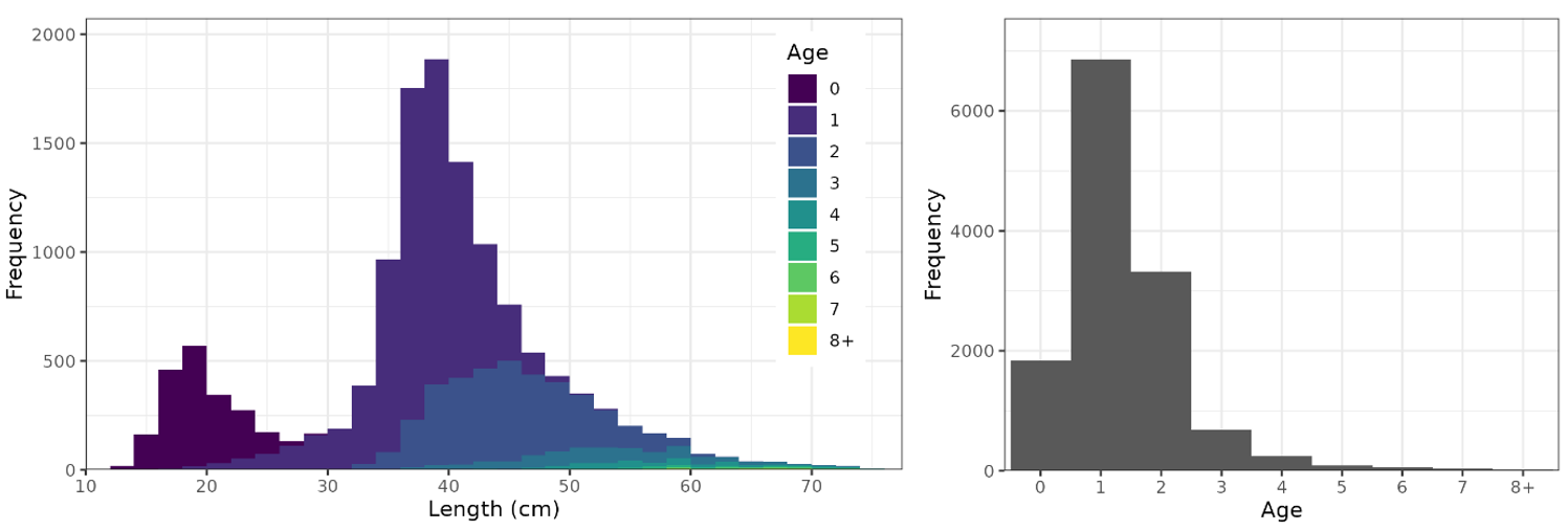 Graphs of length and age distributions of cod in the Skagerrak gillnet survey